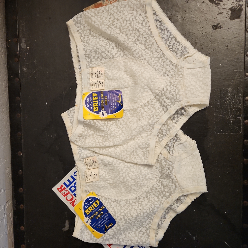 Vintage ANITA Union Label XL Women's Brief Panties 2 pair